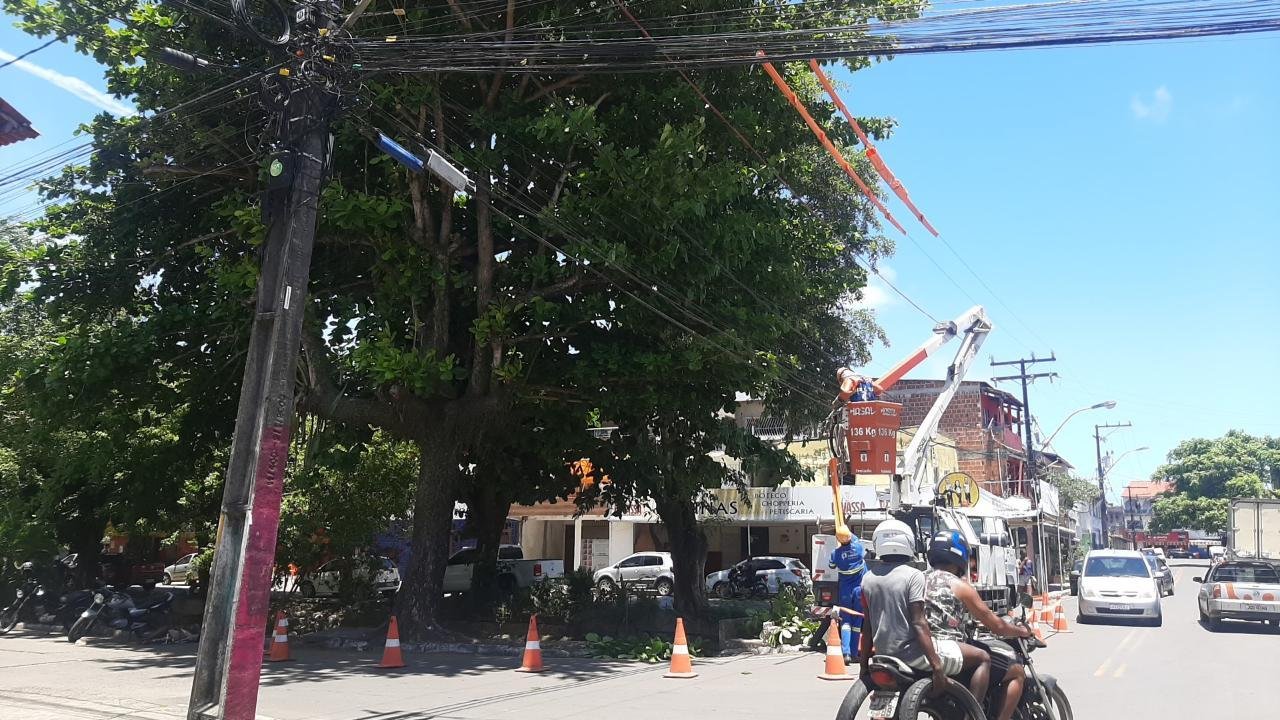 COELBA COMETE CRIME AMBIENTAL E SUPERINTENDÊNCIA DE MEIO AMBIENTE DIZ QUE TOMARÁ PROVIDÊNCIAS