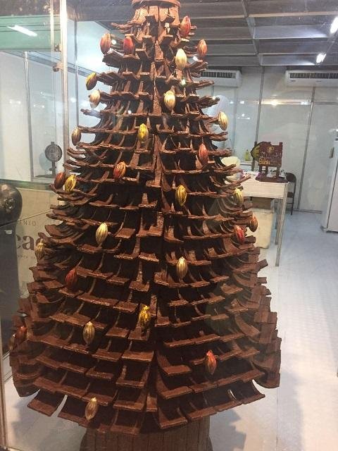 BAHIA: JOVENS SÃO FORMADOS PARA O MUNDO DO CHOCOLATE