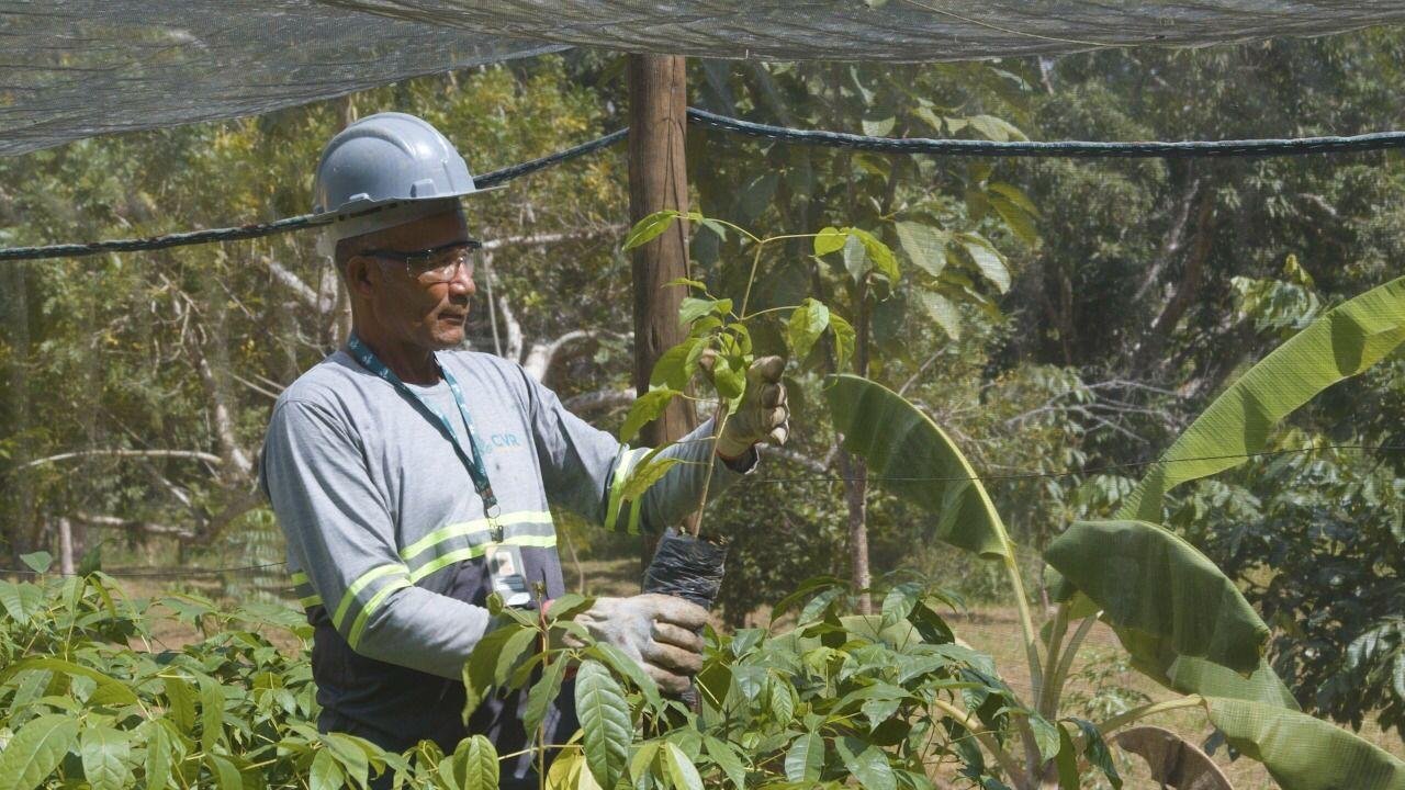 CVR COSTA DO CACAU COMPLETA DOIS ANOS E CONTRIBUI COM FIM DOS LIXÕES E INCENTIVO À COLETIVA SELETIVA 