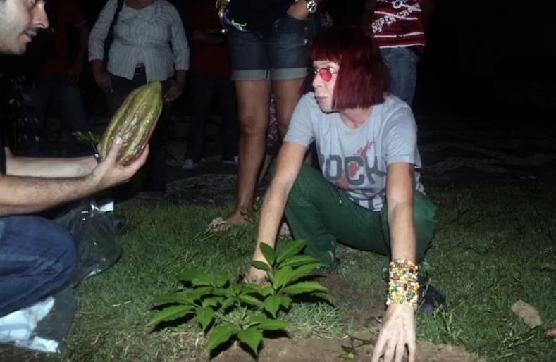 PÉ DE CACAU QUE RITA LEE PLANTOU EM ILHÉUS NO CENTRO DE CONVENÇÕES MORREU 