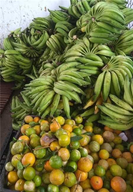 PROGRAMA DE AQUISIÇÃO DE ALIMENTOS SERÁ LANÇADO EM ILHÉUS E VAI BENEFICIAR AGRICULTORES DO MUNICÍPIO