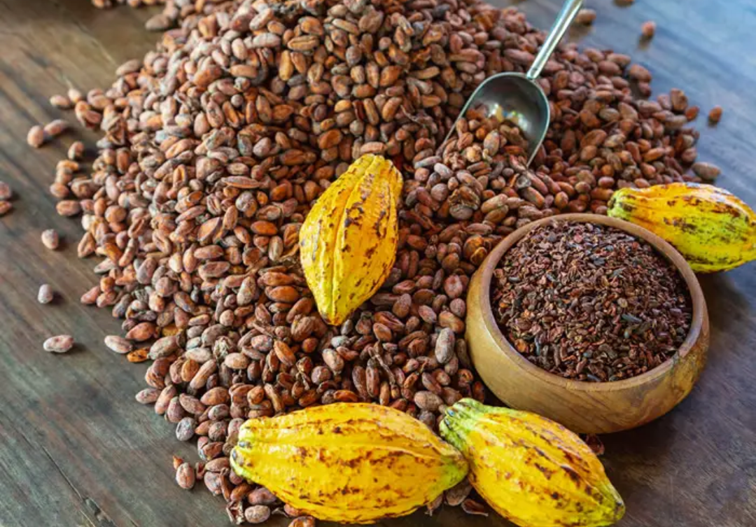 CHOCOLATES COM INDICAÇÃO GEOGRÁFICA SÃO A SENSAÇÃO DA PASCOA 2024