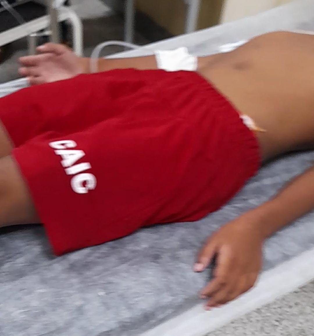 DEZESSETE CRIANÇAS FORAM ATACADAS POR ABELHAS EM COLÉGIO DE ILHÉUS