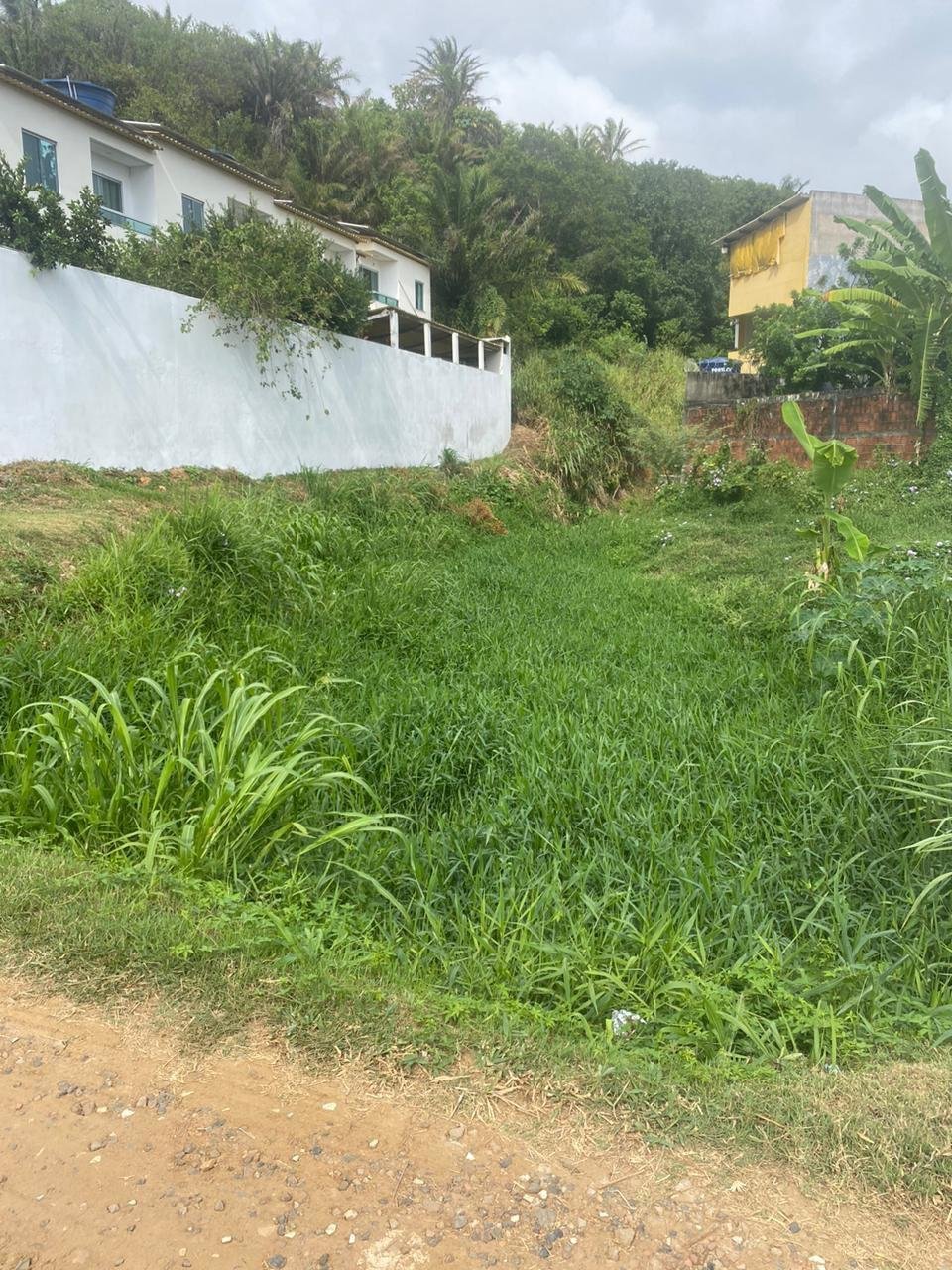 LIMPEZA DE CANAIS E BUEIROS É INTENSIFICADA EM ILHÉUS PARA PREVENIR ALAGAMENTOS