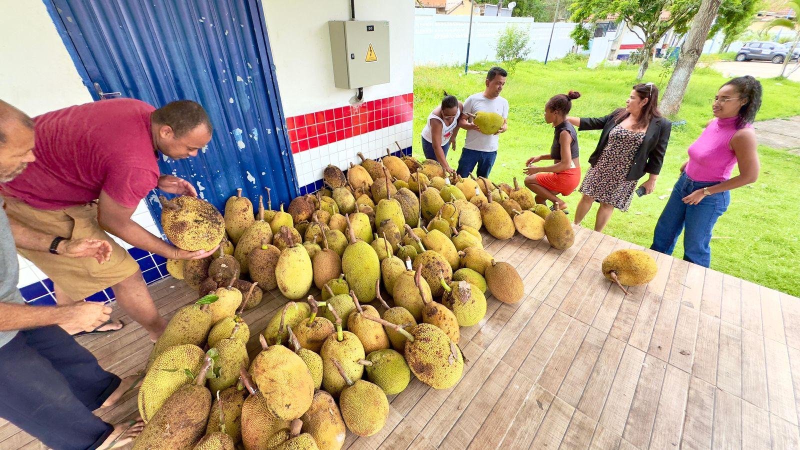 CRAS SALOBRINHO INICIA ENTREGAS DE ALIMENTOS PARA FAMÍLIAS ASSISTIDAS