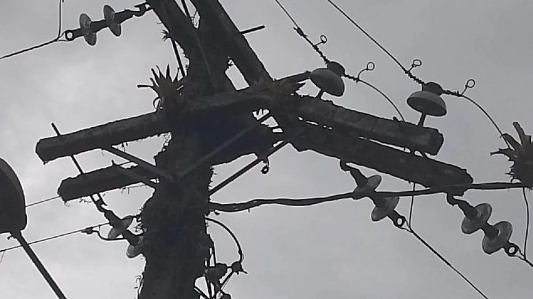 MORADORES DENUNCIAM A COELBA POR ABANDONO DE RISCO DE POSTES DANIFICADOS EM ILHÉUS