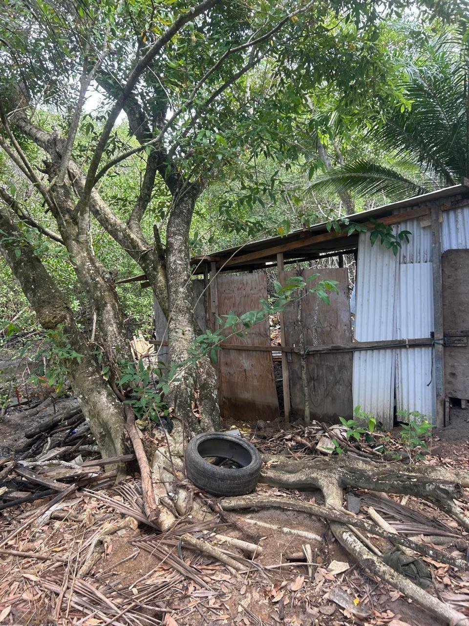 OCUPAÇÃO ILEGAL É DESMONTADA EM ÁREA DE MANGUEZAL NO RIO CURURUPE EM ILHÉUS