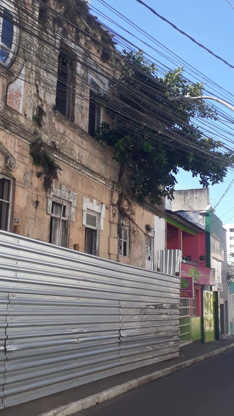 ÁRVORE EM CASARÃO HISTÓRICO DE ILHÉUS CRESCE AINDA MAIS E AUMENTA RISCO DE DESABAMENTO