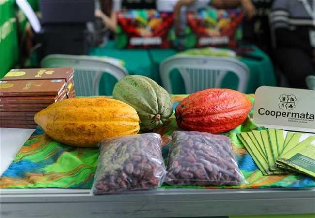 PREFEITO VALDERICO JUNIOR PARTICIPA DA ABERTURA DA EXPOCACAU 2025 EM ILHÉUS