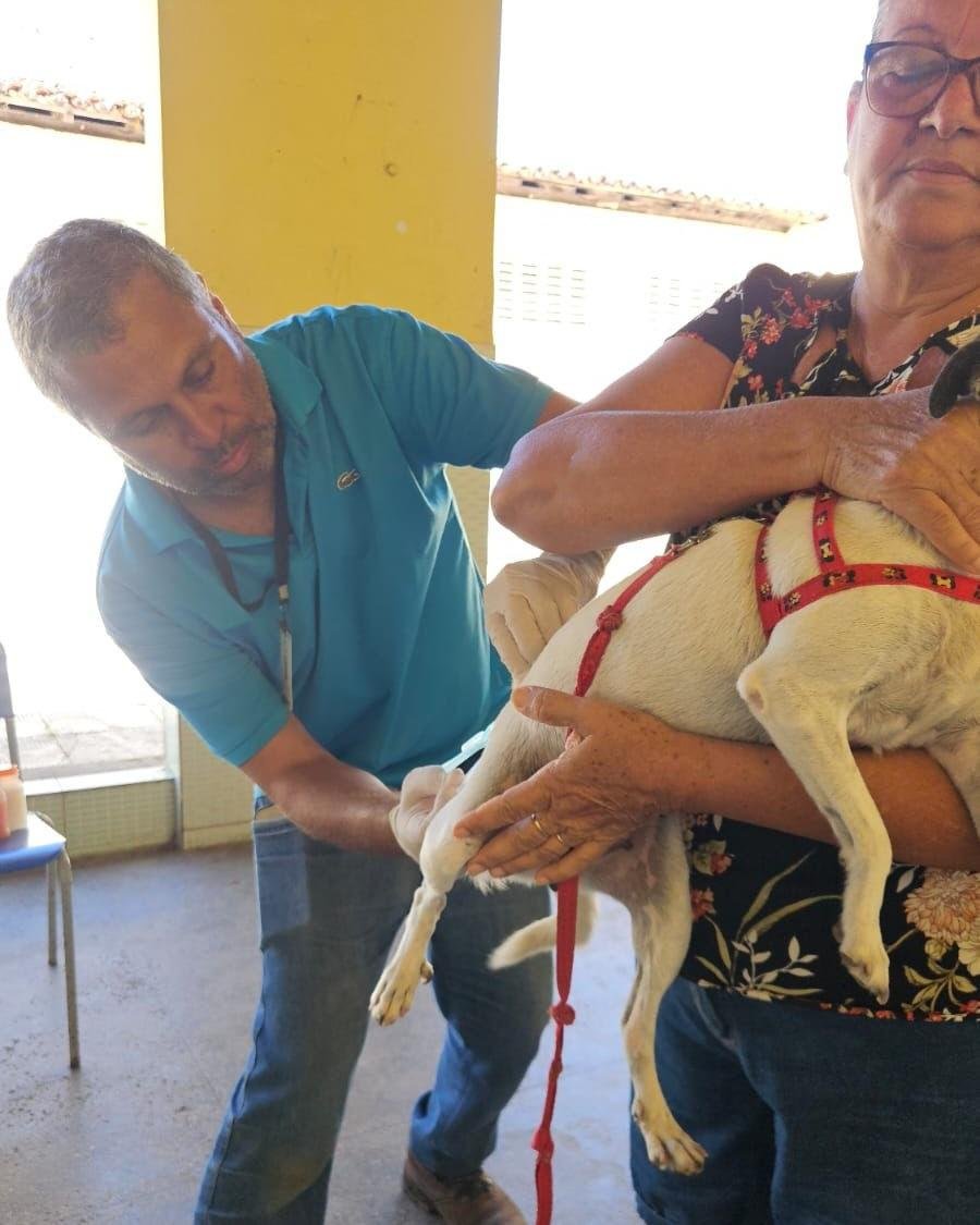 DIA D DE VACINAÇÃO CONTRA A RAIVA IMUNIZA QUASE 3 MIL ANIMAIS EM ILHÉUS
