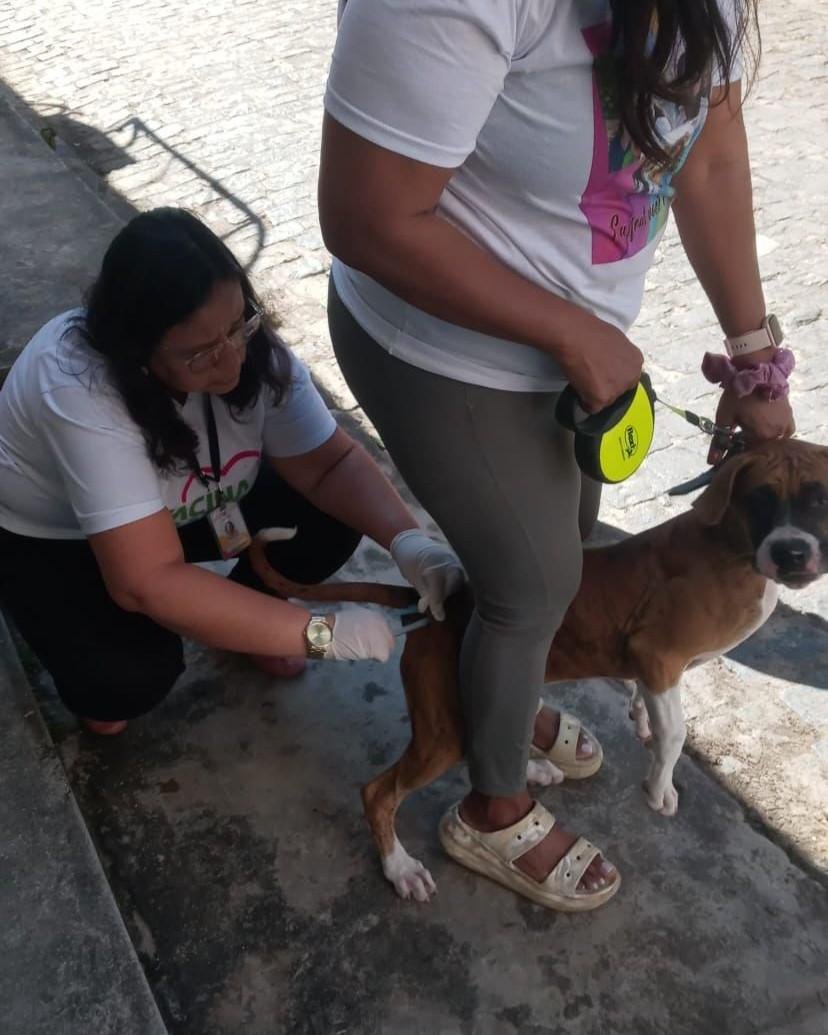 DIA D DE VACINAÇÃO CONTRA A RAIVA IMUNIZA QUASE 3 MIL ANIMAIS EM ILHÉUS