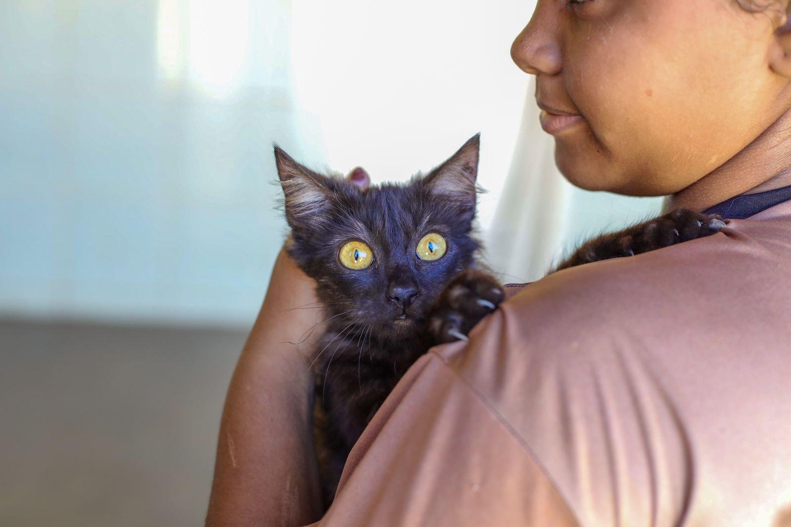 ILHÉUS INICIA A SEMANA COM MAIS DE 9,5 MIL ANIMAIS VACINADOS CONTRA A RAIVA