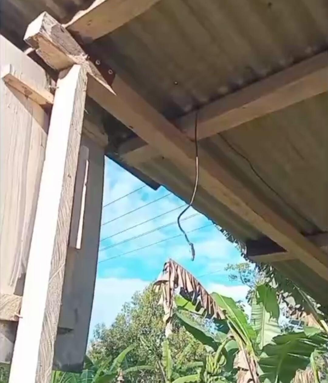 CÂMERA DE SEGURANÇA É FURTADA DA BARRACA DA CONFIANÇA, NA BR-101 CÂMERA DE SEGURANÇA É FURTADA DA BARRACA DA CONFIANÇA, NA BR-101