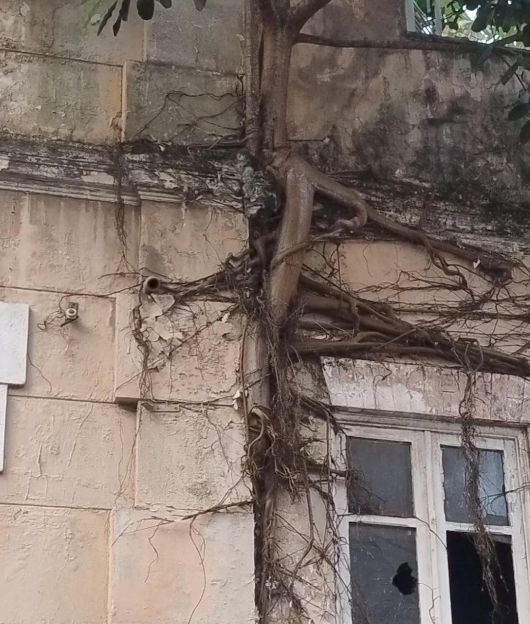 PALACETE CORONEL AURELIANO BRANDÃO PINTO: ENTRE O ABANDONO E A BUROCRACIA