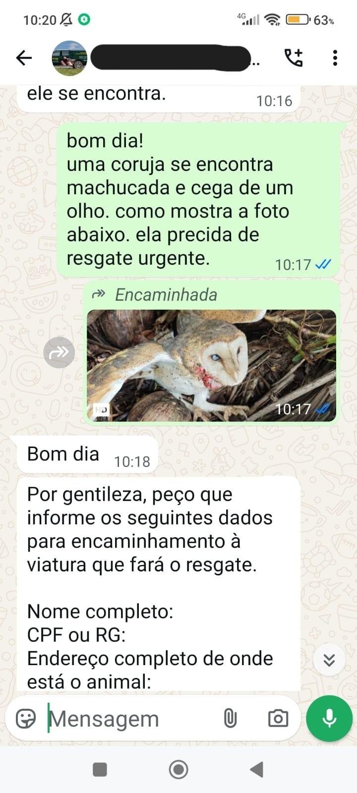 OUVINTE ACUSA INEMA DE OMISSÃO APÓS DEMORA EM RESGATE E MORTE DE CORUJA FERIDA EM ILHÉUS