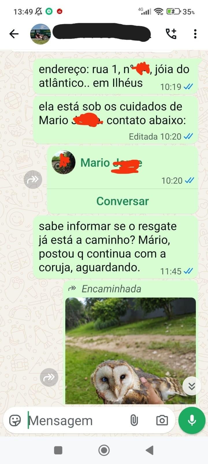 OUVINTE ACUSA INEMA DE OMISSÃO APÓS DEMORA EM RESGATE E MORTE DE CORUJA FERIDA EM ILHÉUS