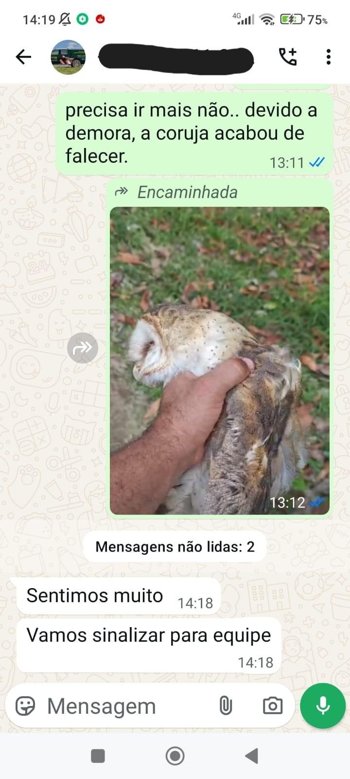 OUVINTE ACUSA INEMA DE OMISSÃO APÓS DEMORA EM RESGATE E MORTE DE CORUJA FERIDA EM ILHÉUS