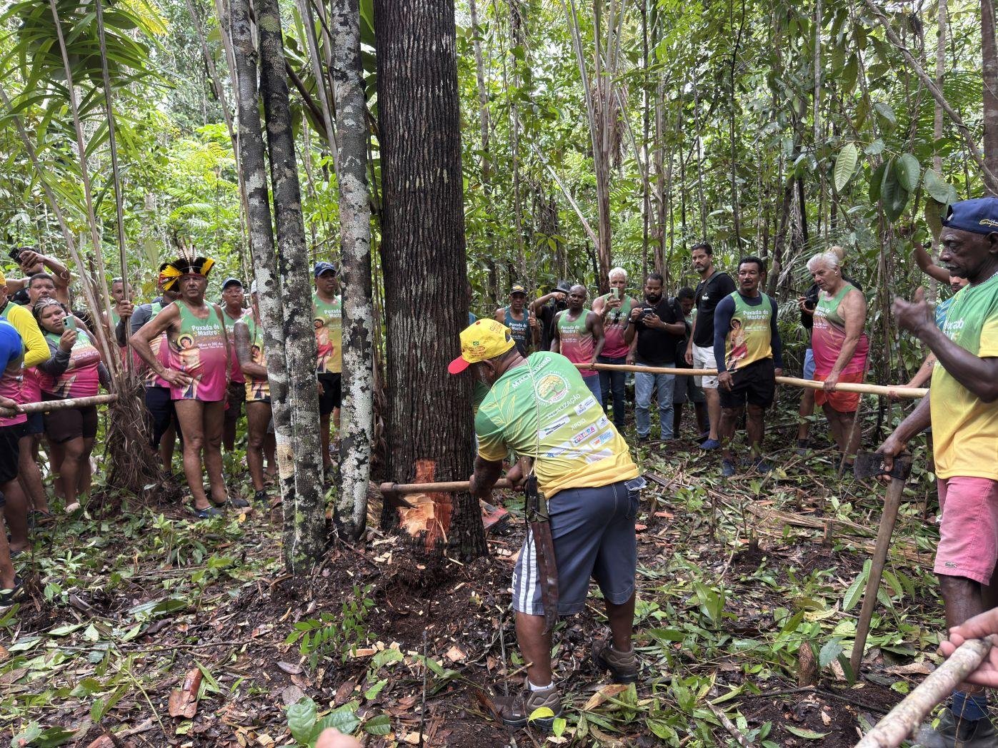 PUXADA DO MASTRO DE SÃO SEBASTIÃO MANTÉM TRADIÇÃO E REÚNE MULTIDÃO EM OLIVENÇA