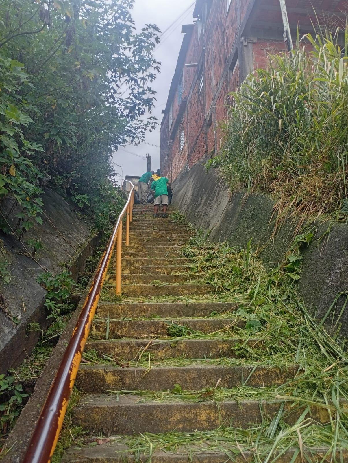 LIMPEZA E ROÇAGEM MELHORAM ACESSOS NO ALTO DO COQUEIRO EM ILHÉUS LIMPEZA E ROÇAGEM MELHORAM ACESSOS NO ALTO DO COQUEIRO EM ILHÉUS