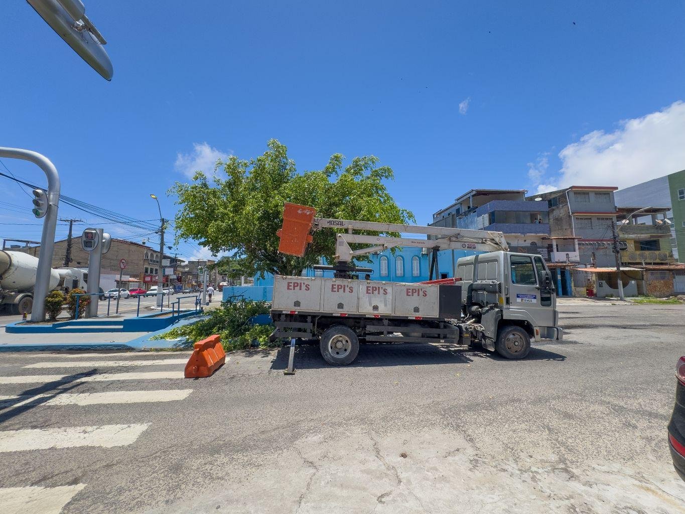 PODA DE ÁRVORES É REALIZADA NO MALHADO EM ILHÉUS PODA DE ÁRVORES É REALIZADA NO MALHADO EM ILHÉUS
