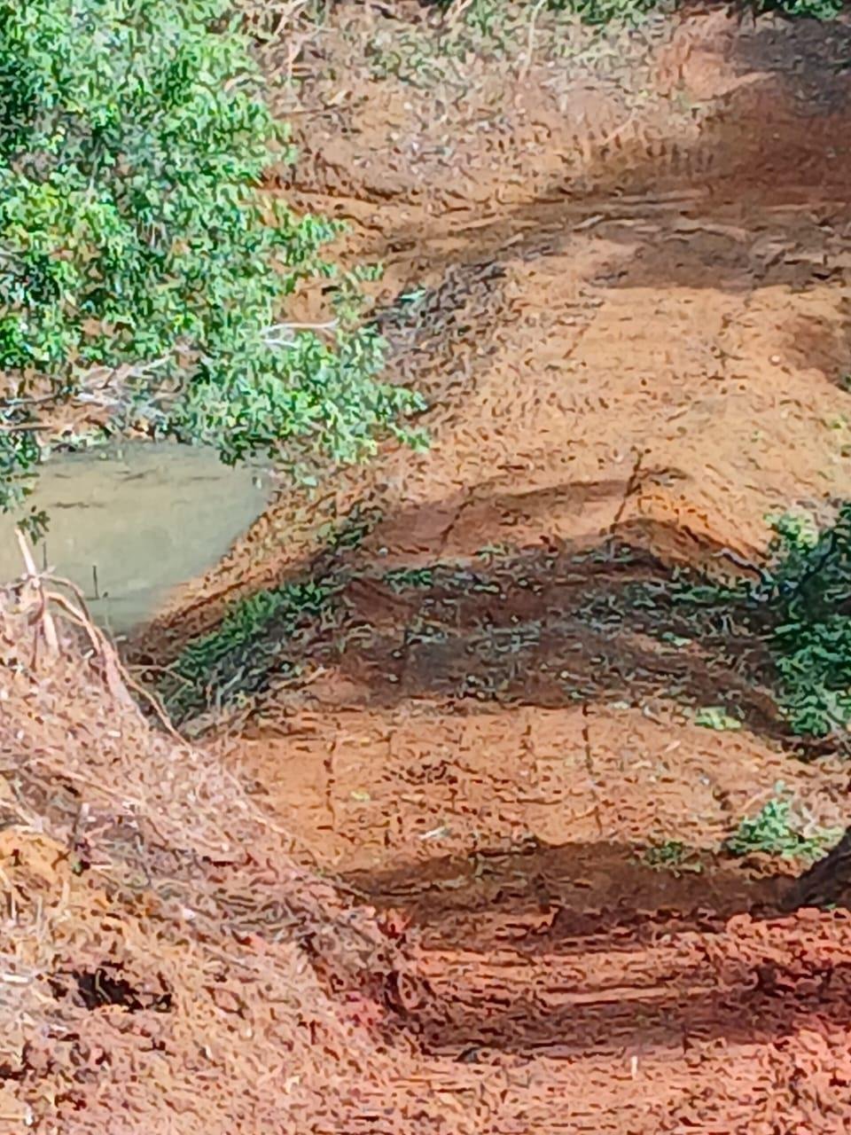 REPRESA DA LAGOA ENCANTADA PASSA POR LIMPEZA E APROFUNDAMENTO PARA AMPLIAR CAPACIDADE DE ÁGUA REPRESA DA LAGOA ENCANTADA PASSA POR LIMPEZA E APROFUNDAMENTO PARA AMPLIAR CAPACIDADE DE ÁGUA