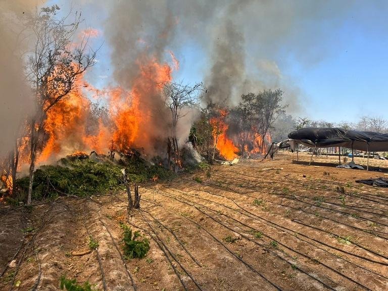 FICCO/ILHÉUS COMBATE ORGANIZAÇÃO CRIMINOSA EM SEIS ESTADOS
