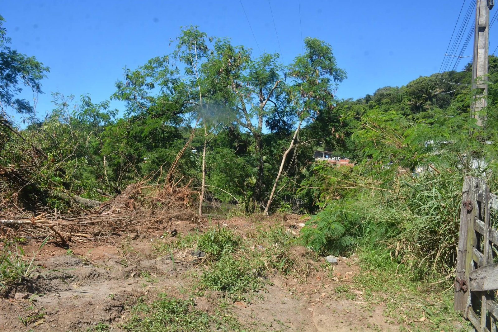JORNALISTA E MESTRE EM BIODIVERSIDADE DENUNCIA MOVIMENTAÇÃO DE TERRA E POSSÍVEIS INTERVENÇÕES IRREGULARES NO PARQUE DA BOA ESPERANÇA
