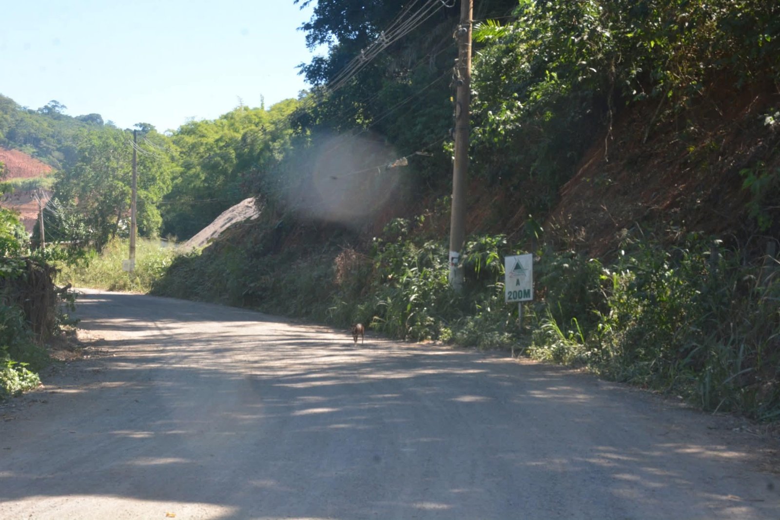 JORNALISTA E MESTRE EM BIODIVERSIDADE DENUNCIA MOVIMENTAÇÃO DE TERRA E POSSÍVEIS INTERVENÇÕES IRREGULARES NO PARQUE DA BOA ESPERANÇA