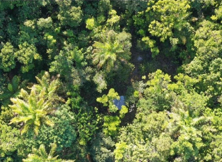 VINICIUS QUILOMBOLA E MAIS DE 400 FAMÍLIAS QUILOMBOLAS ENFRENTAM NA JUSTIÇA, POSSE DA HISTÓRICA FAZENDA SESMARIA TIJUCA VINICIUS QUILOMBOLA E MAIS DE 400 FAMÍLIAS QUILOMBOLAS ENFRENTAM NA JUSTIÇA, POSSE DA HISTÓRICA FAZENDA SESMARIA TIJUCA