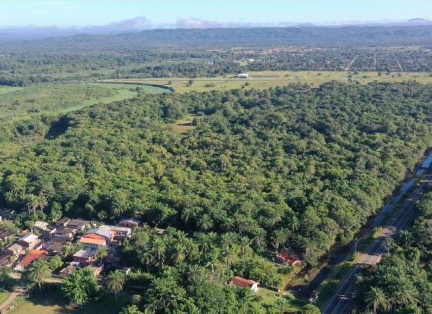VINICIUS QUILOMBOLA E MAIS DE 400 FAMÍLIAS QUILOMBOLAS ENFRENTAM NA JUSTIÇA, POSSE DA HISTÓRICA FAZENDA SESMARIA TIJUCA VINICIUS QUILOMBOLA E MAIS DE 400 FAMÍLIAS QUILOMBOLAS ENFRENTAM NA JUSTIÇA, POSSE DA HISTÓRICA FAZENDA SESMARIA TIJUCA