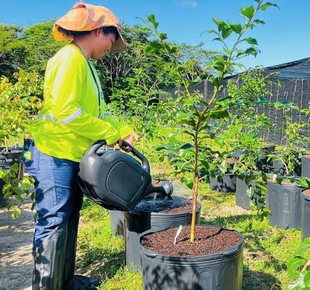 ACM NETO VISA INVESTIMENTO EM AGROINDÚSTRIAS E MIRA PEQUENOS PRODUTORES DO SUL DA BAHIA