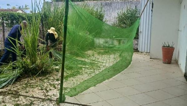 CADHII, NO BAIRRO DA CIDADE NOVA, RECEBE SERVIÇOS DE LIMPEZA E MANUTENÇÃO