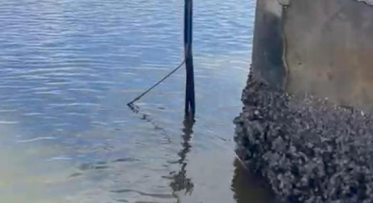 CABOS DE ALTA TENSÃO SÃO FLAGRADOS PENDURADOS NA PONTE LOMANTO JÚNIOR EM ILHÉUS CABOS DE ALTA TENSÃO SÃO FLAGRADOS PENDURADOS NA PONTE LOMANTO JÚNIOR EM ILHÉUS