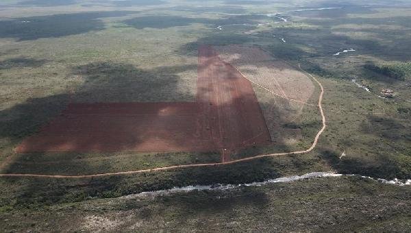 ÁREA NA CHAPADA DIAMANTINA É DESMATADA COM LICENÇA IRREGULAR E PREOCUPA AGRICULTORES FAMILIARES