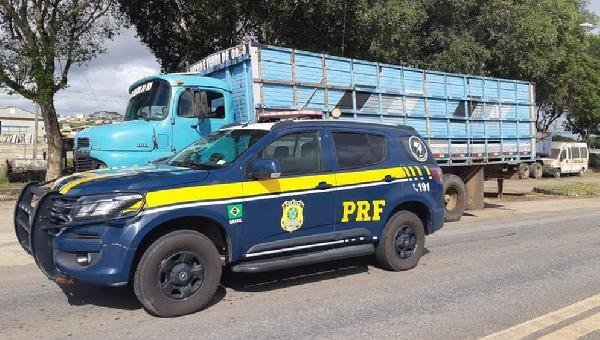 DUPLA É DETIDA APÓS FURTO DE GADO EM MEDEIROS NETO