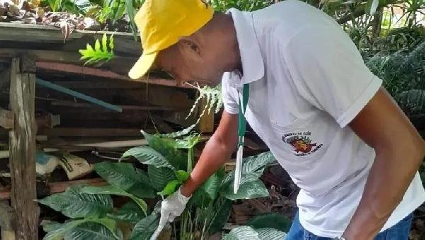 AGENTES DE ENDEMIAS DA SESAU-ILHÉUS REALIZAM MUTIRÃO PARA COMBATER FOCOS DE ARBOVIROSES
