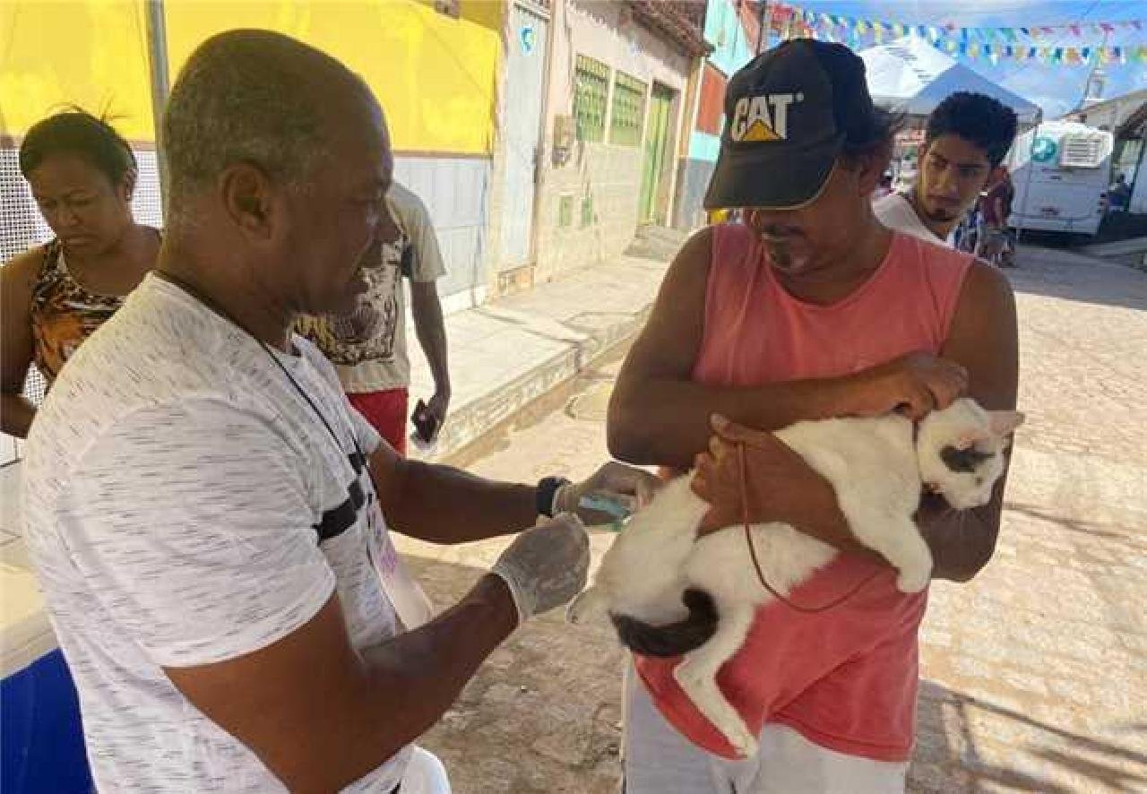 ILHÉUS INICIA CAMPANHA DE VACINAÇÃO ANTIRRÁBICA NA PRÓXIMA SEGUNDA (24); CONFIRA PONTOS ILHÉUS INICIA CAMPANHA DE VACINAÇÃO ANTIRRÁBICA NA PRÓXIMA SEGUNDA (24); CONFIRA PONTOS