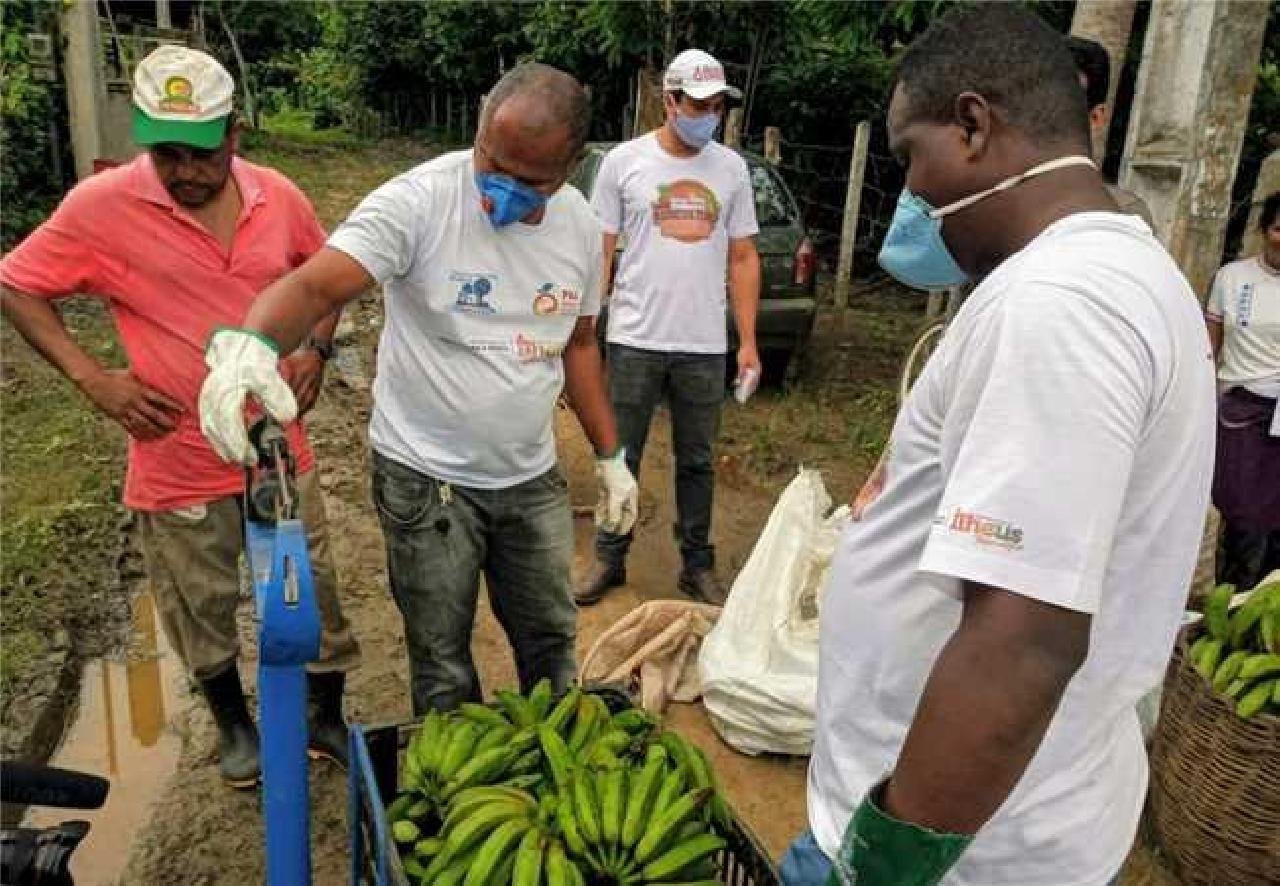 ILHÉUS É DESTAQUE NO PROGRAMA ALIMENTA BRASIL ILHÉUS É DESTAQUE NO PROGRAMA ALIMENTA BRASIL
