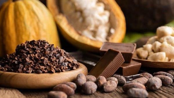 CARTA DO CACAU APONTA CRISE E DEFINE PLANO DE AÇÃO PARA A CACAUICULTURA NO SUL DA BAHIA