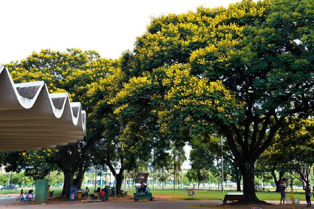 NATUREZA BENEFICIA BEM-ESTAR E SAÚDE DA POPULAÇÃO, MOSTRA PESQUISA NATUREZA BENEFICIA BEM-ESTAR E SAÚDE DA POPULAÇÃO, MOSTRA PESQUISA