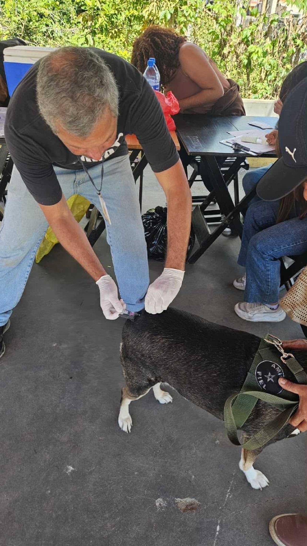 DIA D DE VACINAÇÃO GARANTE IMUNIZAÇÃO DE 1.236 CÃES E GATOS EM ILHÉUS