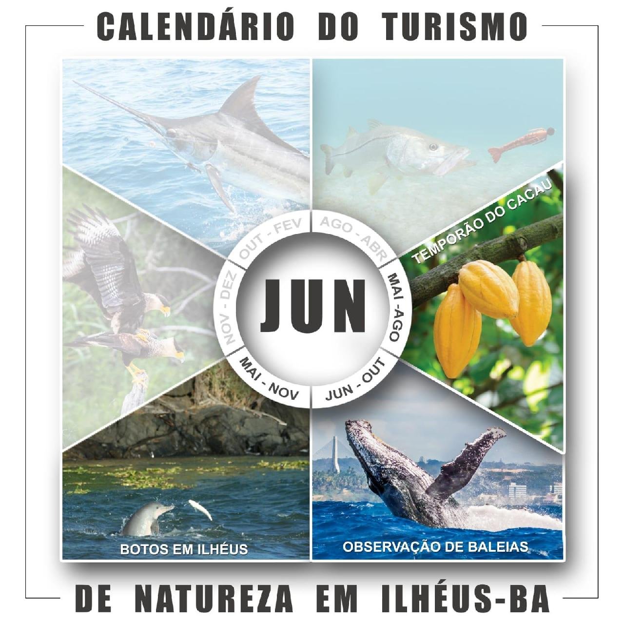 TEMPORADA DE BALEIAS SE INTENSIFICA NO MAR DE ILHÉUS NESTA QUARTA-FEIRA (1) TEMPORADA DE BALEIAS SE INTENSIFICA NO MAR DE ILHÉUS NESTA QUARTA-FEIRA (1)