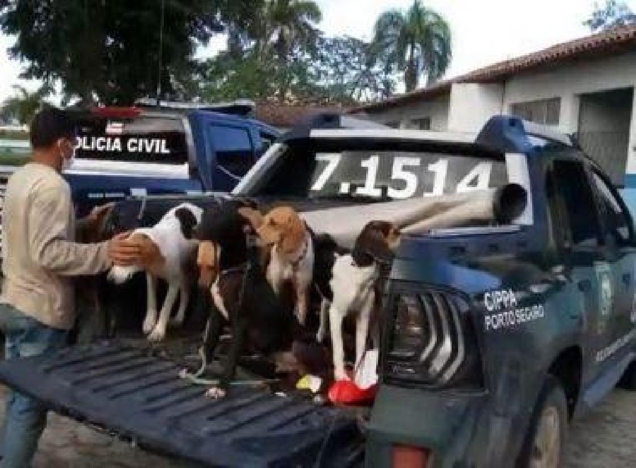 EUNÁPOLIS: HOMENS SÃO PRESOS APÓS SUSPEITA DE MAUS-TRATOS CONTRA CÃES EUNÁPOLIS: HOMENS SÃO PRESOS APÓS SUSPEITA DE MAUS-TRATOS CONTRA CÃES
