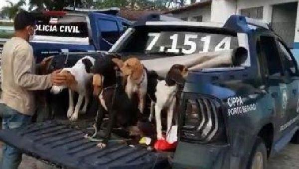 EUNÁPOLIS: HOMENS SÃO PRESOS APÓS SUSPEITA DE MAUS-TRATOS CONTRA CÃES