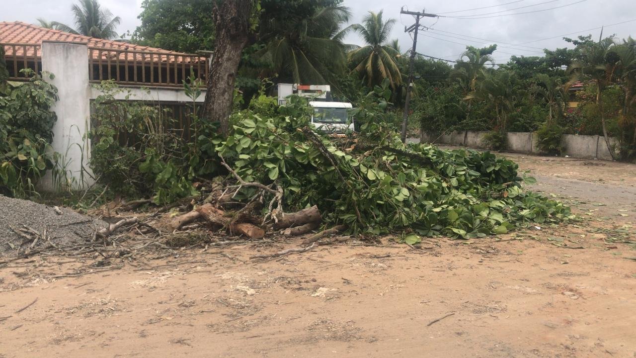 COELBA COMETE CRIME AMBIENTAL E SUPERINTENDÊNCIA DE MEIO AMBIENTE DIZ QUE TOMARÁ PROVIDÊNCIAS COELBA COMETE CRIME AMBIENTAL E SUPERINTENDÊNCIA DE MEIO AMBIENTE DIZ QUE TOMARÁ PROVIDÊNCIAS