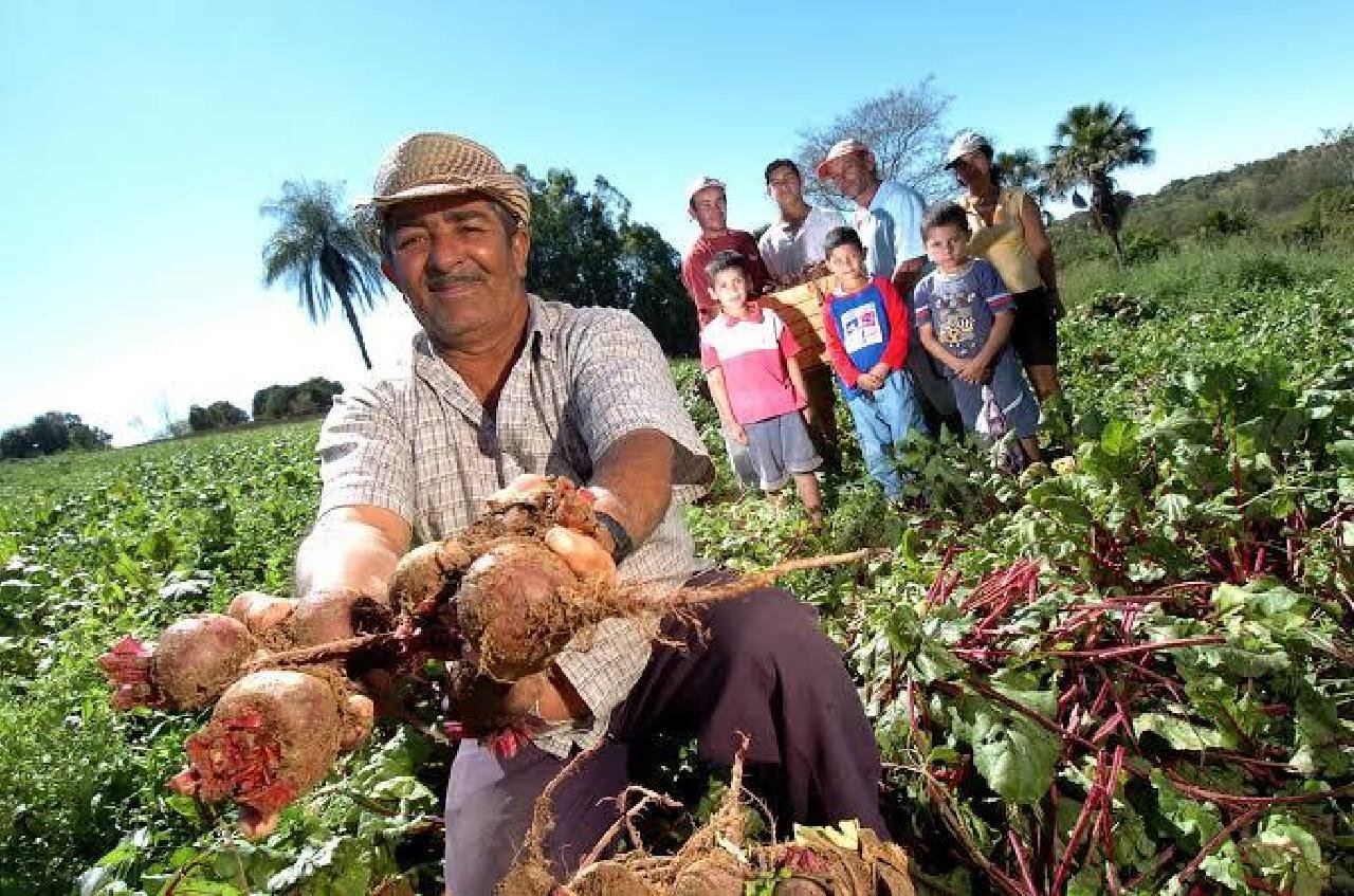 ILHÉUS RECEBE RECURSOS PARA FORTALECIMENTO DA AGRICULTURA FAMILIAR ILHÉUS RECEBE RECURSOS PARA FORTALECIMENTO DA AGRICULTURA FAMILIAR