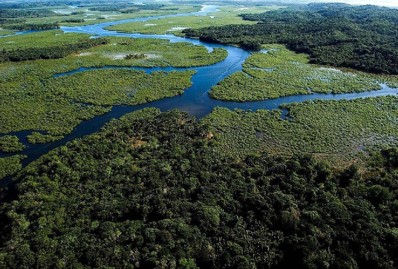 OPERAÇÃO PARA COIBIR DESMATAMENTO DA MATA ATLÂNTICA COMEÇA NA BA E MAIS 16 ESTADOS OPERAÇÃO PARA COIBIR DESMATAMENTO DA MATA ATLÂNTICA COMEÇA NA BA E MAIS 16 ESTADOS