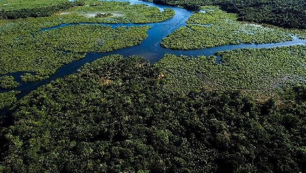 OPERAÇÃO PARA COIBIR DESMATAMENTO DA MATA ATLÂNTICA COMEÇA NA BA E MAIS 16 ESTADOS