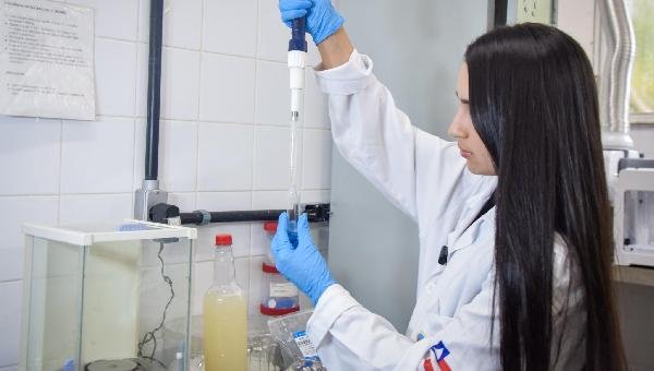 ESTUDO PREMIADO SOBRE MEL DE CACAU PROJETA CETAB COMO REFERÊNCIA EM INOVAÇÃO AGROPECUÁRIA ESTUDO PREMIADO SOBRE MEL DE CACAU PROJETA CETAB COMO REFERÊNCIA EM INOVAÇÃO AGROPECUÁRIA