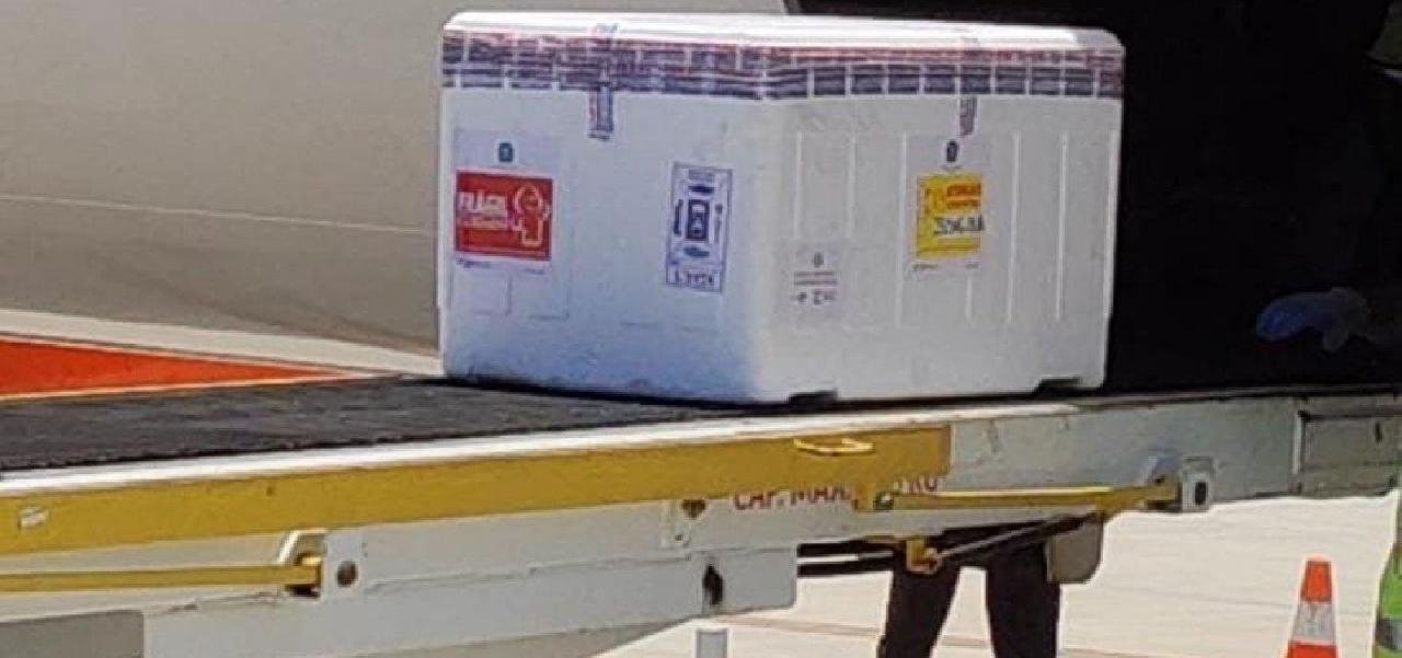 COM TRÊS LOTES DE REMESSA, BAHIA RECEBEU MAIS DE 600 MIL DOSES ONTEM COM TRÊS LOTES DE REMESSA, BAHIA RECEBEU MAIS DE 600 MIL DOSES ONTEM